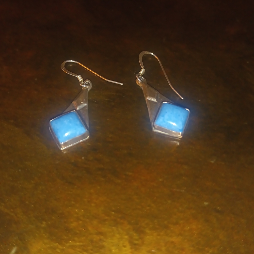 Elegant Silver and Blue Earrings